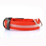 Glow Pet Collar